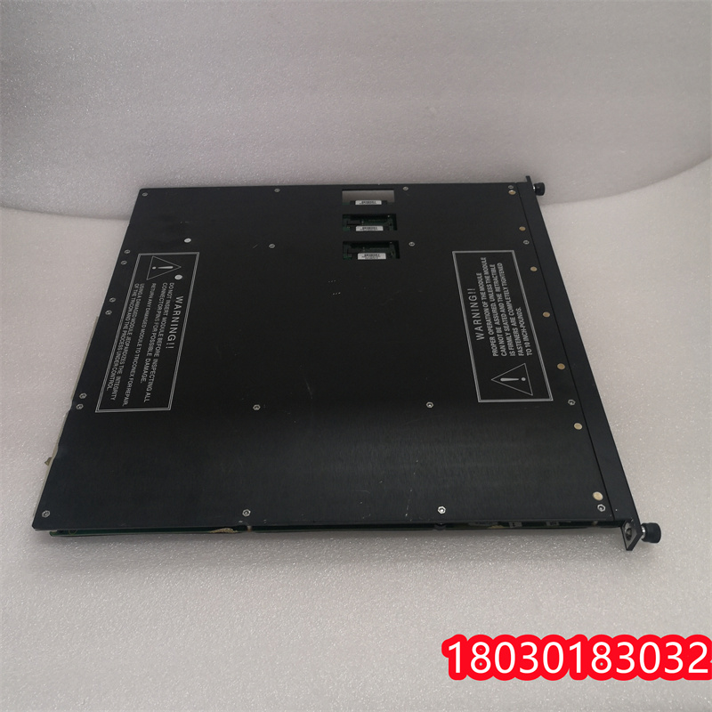 <strong>TRICONEX 4211 拓展模塊</strong>